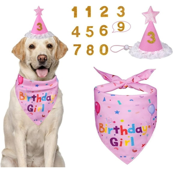 Dog Birthday Decorations, Dog Birthday Hat with Numbers for Large Medium Small,Pet Supplies (Pink)