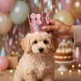 thumbnail image 1 of Dog Birthday Hat Cat Birthday Hat 3.5 Inch Pink Glittery Pet Hat Pet Crown Hat for Small Pets Celebration Accessory for Dog Birthday Party Pet Photo Prop, 1 Pack, 1 of 4