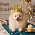 thumbnail image 1 of Dog Birthday Hat, Pet Crown Hat 3.5 Inch Glittery Pet Hat Dog Birthday Crown for Small Dogs Cat Birthday Hat Dog Birthday Party Decorations Yellow Golden Pet Party Accessory, 1, 1 of 4