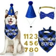 thumbnail image 1 of Dog Birthday Party Supplies, X-Large, Blue - Includes Hat, Bandana, Bow Tie, Numbers & Glue Points, 1 of 6