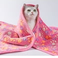 thumbnail image 1 of Dog Blanket Waterproof Pet Blanket for Small Medium Dogs & Cats, 24x16 in Soft Plush Crate Mat, Reversible Couch Protector for Puppy Bedding, All-Season Pet Throw Pink, 1 of 3