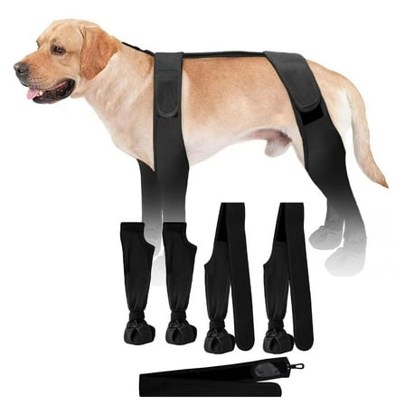 Dog Boots All Season Pet Shoes Dirt And Durable Outdoor Dog Footwear