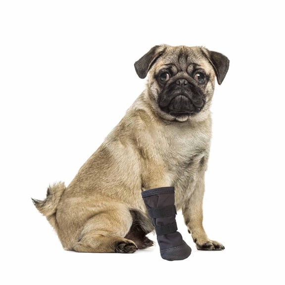 Dog Boots, Anti-Lick ProtectiveDog Shoes for Wound, Pet Booties for Indoor Outdoor Walking Use, Protector Covers for Medium Dogs Black Size:M