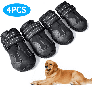 Buy Dog Shoes Online, Dog Walkers