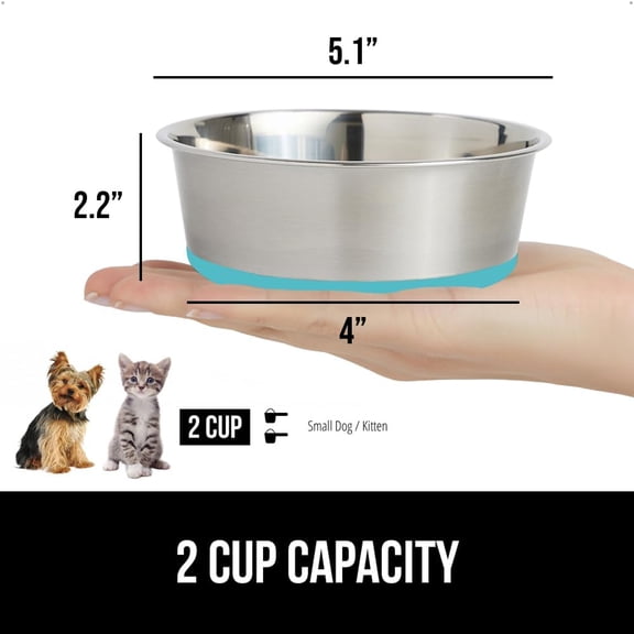 Dog Bowl, Holds 2 Cups (16 fl oz), Heavy Duty Metal Food and Water Bowl for Feeding Dogs and Cats, Dishwasher Safe, Rust Resistant Stainless Steel, BPA Free Rubber Base, Turquoise
