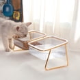 thumbnail image 1 of Dog Bowl Iron Feeding Basin Heavy Duty Gold | Non-Slip Weighted Pet Water Dispenser | Durable Scratch-Resistant Design | Easy Clean, Waterproof, Rustproof | Deep Bowl for Medium Large Pets, Indoor, 1 of 6
