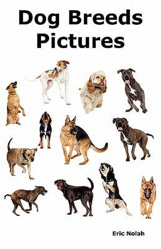 Dog Breeds Pictures: Over 100 Breeds Including Chihuahua, Pug, Bulldog, German Shepherd, Maltese, Beagle, Rottweiler, Dachshund, Golden Retriever, Pomeranian, Doberman Pinscher, Terrier and Boxer. (Pa