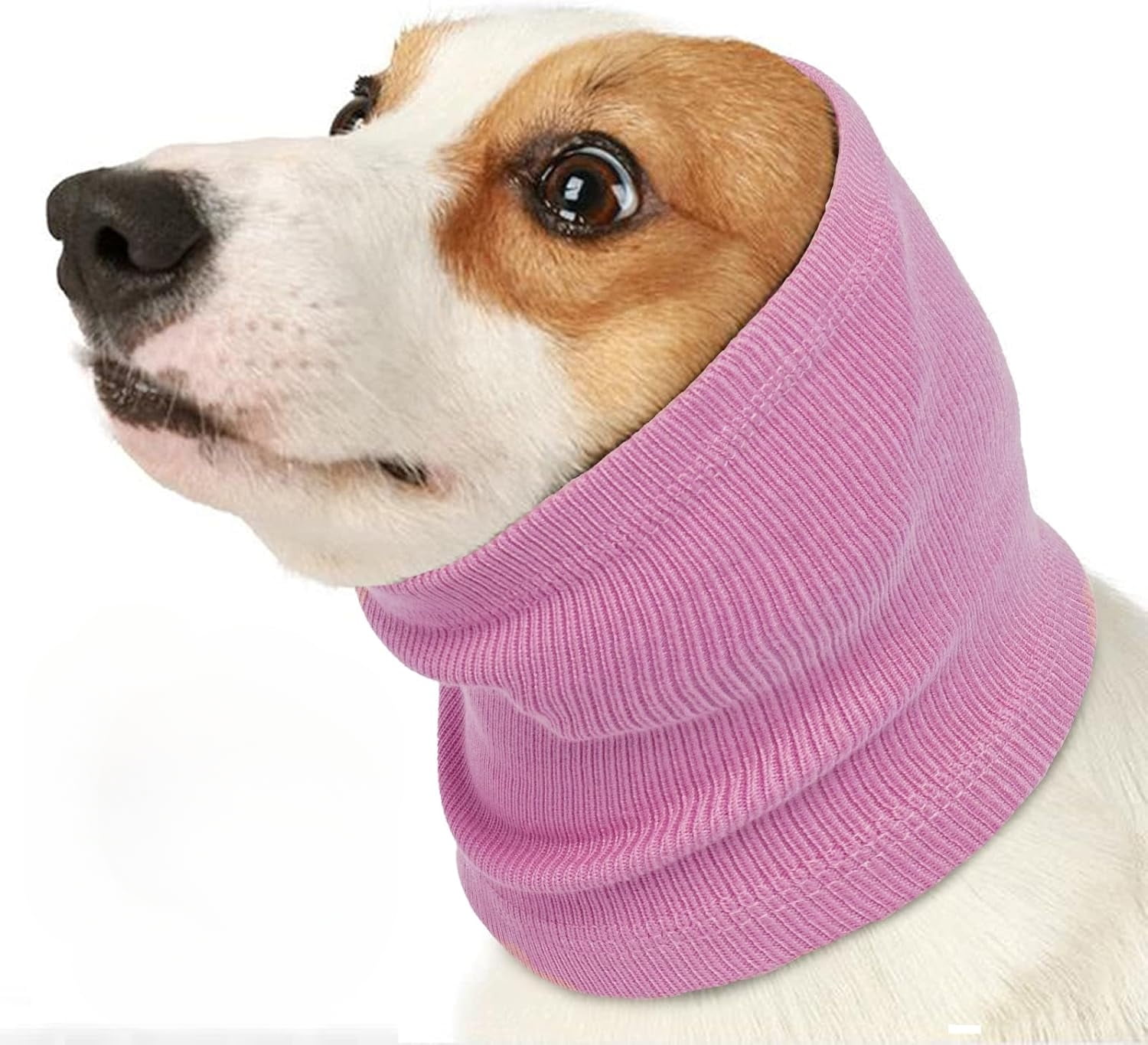 Illustration of Calming Dog Grooming Products