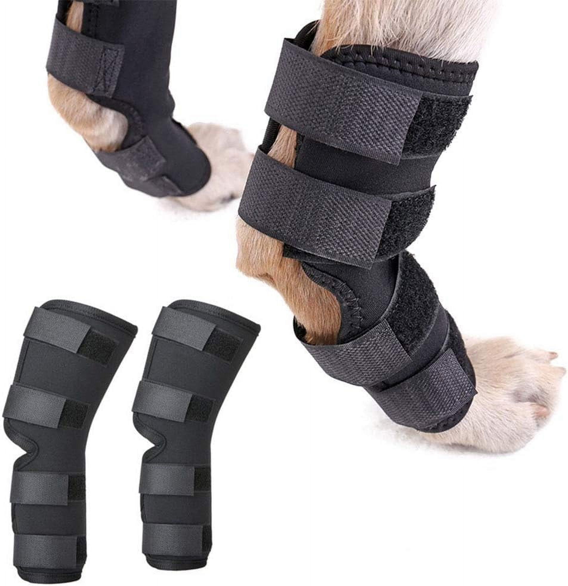 Dog Canine Rear Leg Hock Joint Brace 2Pack Hind Leg Wrap Protector and ...