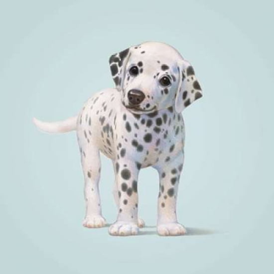 Dog Canvas Art - John Butler (24 x 24)