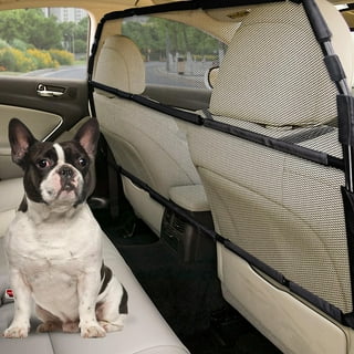 Backseat Divider Dog