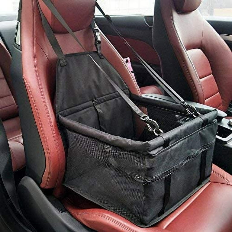 Leather seats cheap and dogs