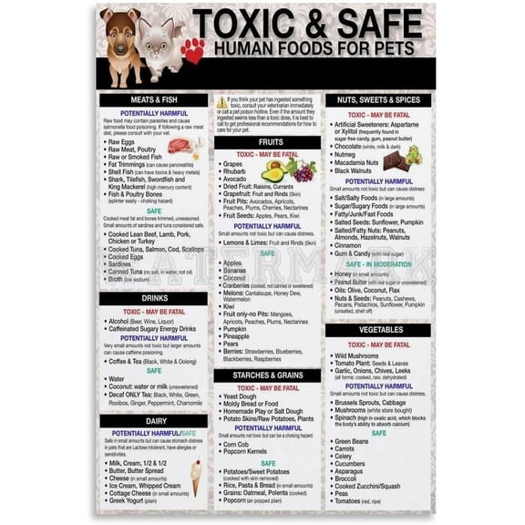 Dog Cat Feeding Guide Poster,Safe And Toxic Food List,animal Diet Chart Wall Art for Living Room Bedroom Decor
