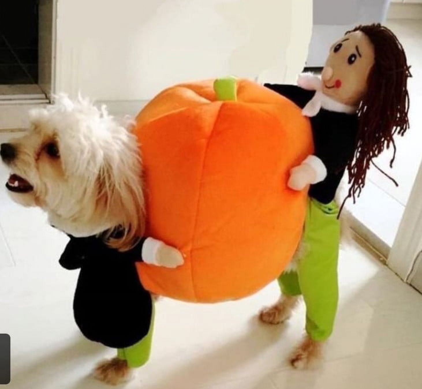 Halloween Day Funny Pet Clothes