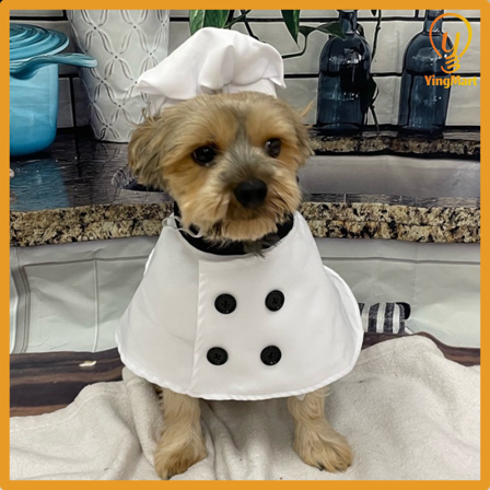 Dog Chef Costume Hat Set Pet Shirt Cat Outfit Small Large Dogs Cosplay Halloween YingMart Pet Costume (White, S/M)
