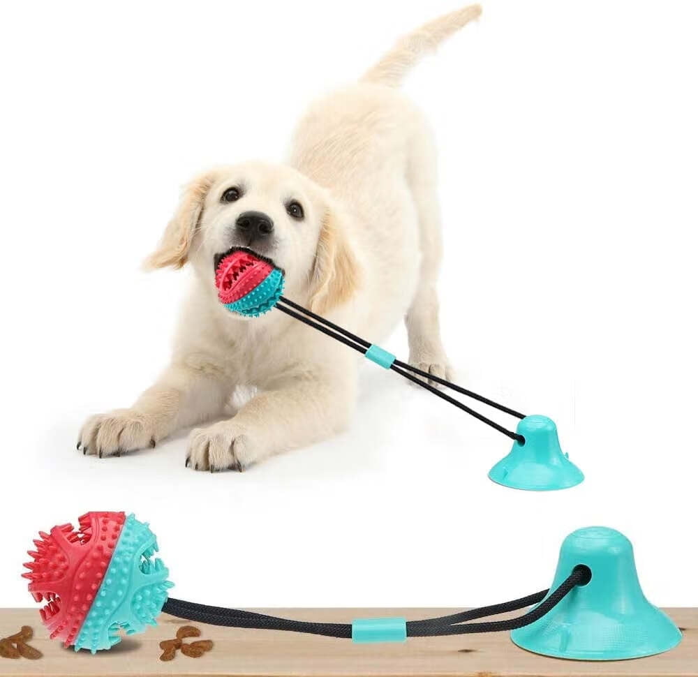Adventure Game' Rubber Treat Dispensing Chewing Dog Toy Medium Size  [TT39#1073 Medium Treat and Kibble Dispensing Dog Toy] - $19.99 : Best  quality dog supplies at crazy reasonable prices - harnesses, leashes