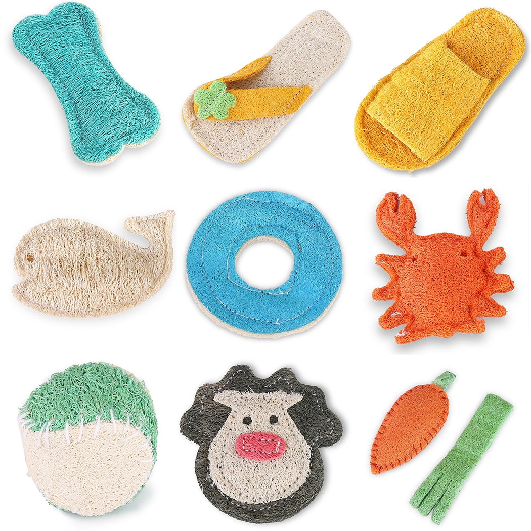 Dog Chew Toy Set Natural 10PCS Loofah Sponge Dog Tooth