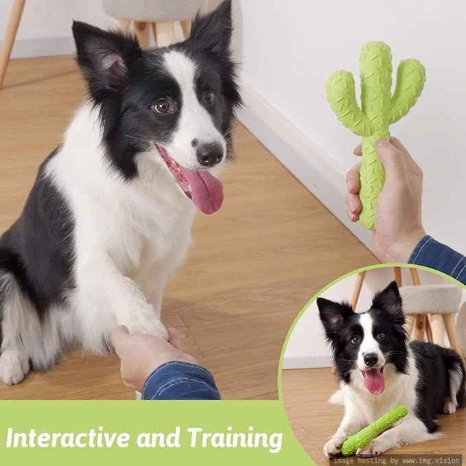 Dog Chew Toys, Durable Rubber Dog Toys for Aggressive Chewers, Cactus