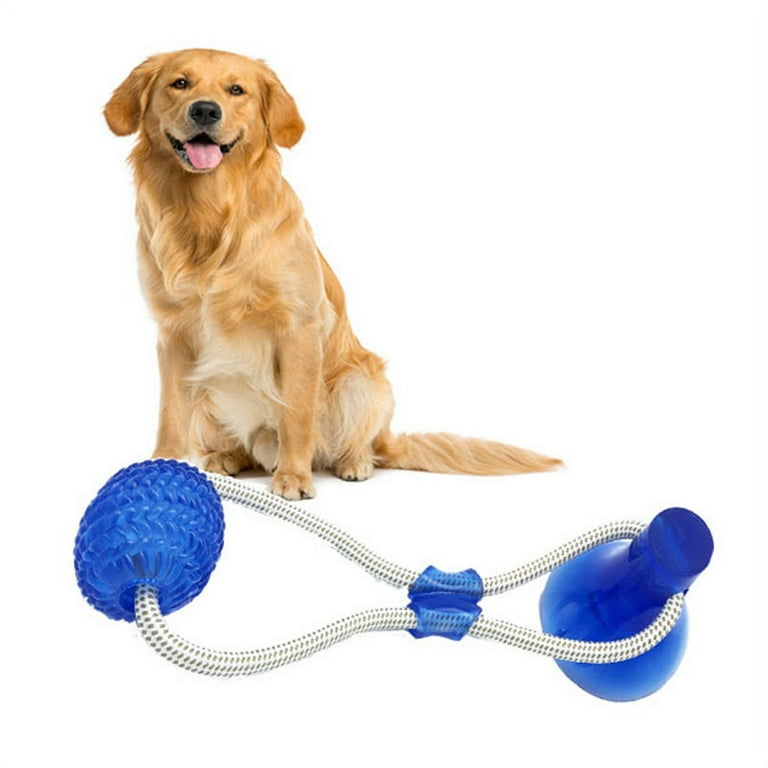 Suction Cup Dog Toy Chews Bite Toys Durable Rubber Self Playing  Multifunctional