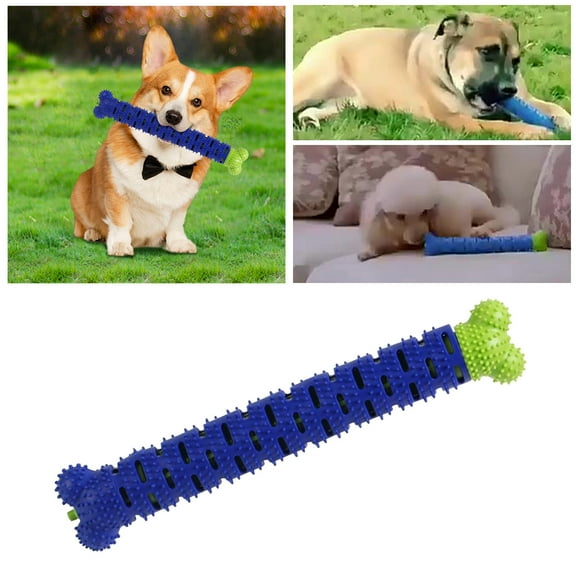 Dog Chew Toys Rubber Toothbrush Toy 965 Inch Bone Shape For Cats And Dogs Platform Cleaners For Endurance Indoor Outdoor Pet Toy