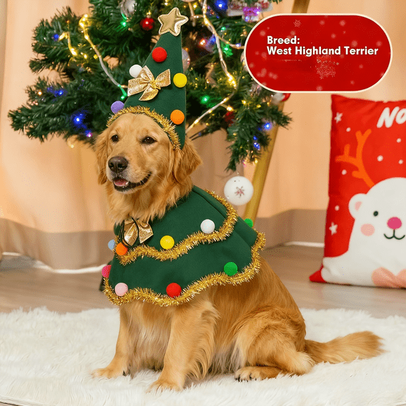 Dog Christmas Outfit with Christmas Tree Hat and Dress, 2-Piece Set, Green, for Small Dogs, Pet Holiday