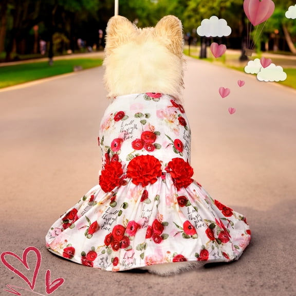 Dog Clothes Girl Dog Dresses Small Floral Puppy Dresses Pet Cat Princess Clothes Cute Puppy Summer Outfits for Yorkie Female Cat Small Pets B XL