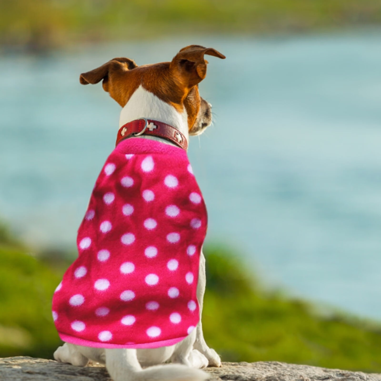 dog-clothes-print-dog-cats-clothes-for-small-dogs-warm-winter-pet-dog-clothing-coat-shirt-pet-christmas-soft-chihuahua-clothes-cat-clothes-polyester-hot-pink-walmart-com
