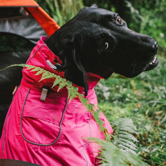 Dog Coats Small Waterproof, Warm Outfit Clothes Dog Jackets Small, Adjustable Drawstring Warm And Cozy Dog Sport Vest (Rose Red, 2XL)
