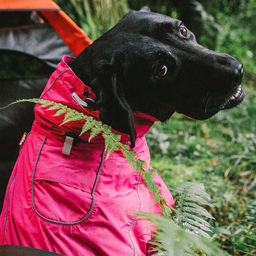 Dog Coats Small Waterproof, Warm Outfit Clothes Dog Jackets Small, Adjustable Drawstring Warm And Cozy Dog Sport Vest (Rose Red, L)