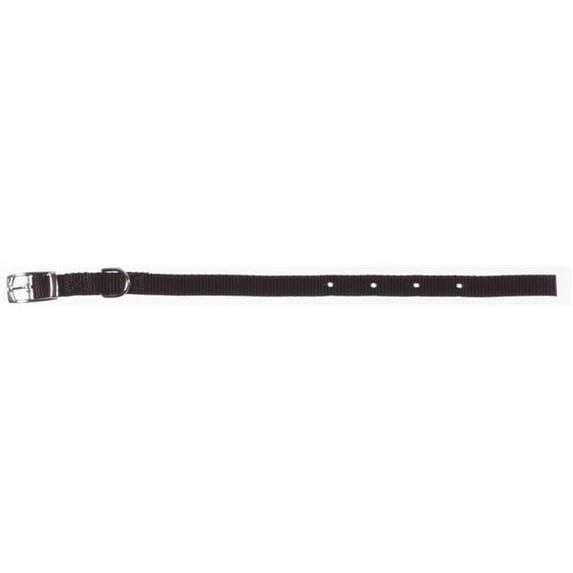Dog Collar 5/8" x 12" Nylon Blue