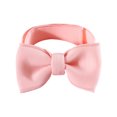 thumbnail image 1 of Dog Collar Adjustable - Soft Comfortable Elegant - Pet Cat Dog Bowknot Neckerchief - Pet Supplies, 1 of 8