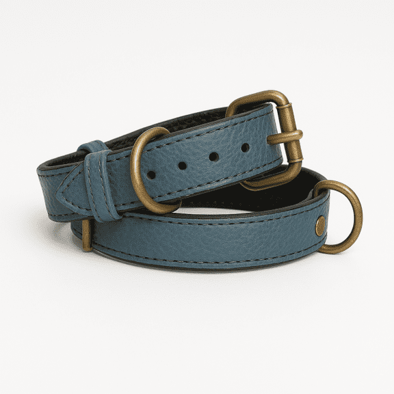 Dog Collar, Blue Dog Collar with Black Inner Liner - S/M