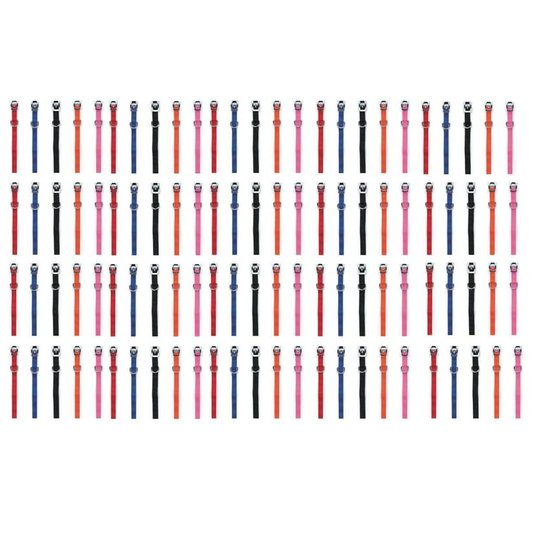 2 inch wide top nylon dog collars