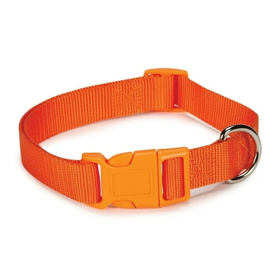 Dog Collar Bulk Packs 25 Orange Nylon Shelter Rescue Vet 4 Adjustable Sizes (14 - 20 Inch)