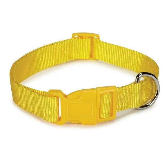 Dog Collar Bulk Packs 50 Yellow Nylon Shelter Rescue Vet 4 Adjustable Sizes (6 - 10 Inch)