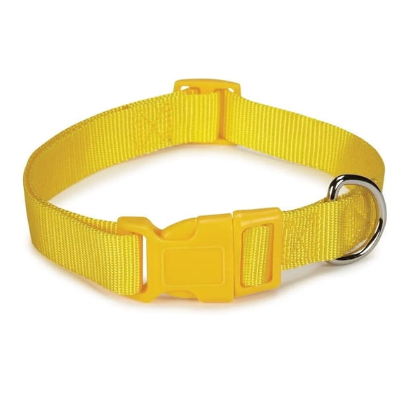 Dog Collar Bulk Packs 75 Yellow Nylon Shelter Rescue Vet 4 Adjustable Sizes (10 - 16 Inch)