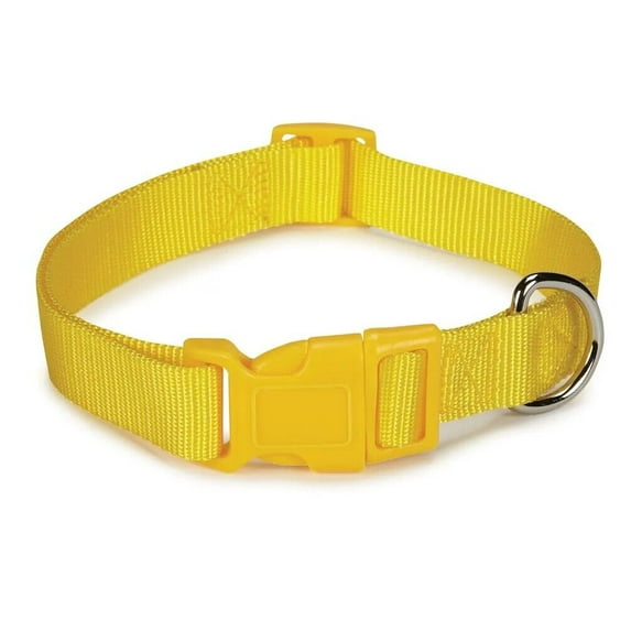 Dog Collar Bulk Packs 75 Yellow Nylon Shelter Rescue Vet 4 Adjustable Sizes (18 - 26 Inch)