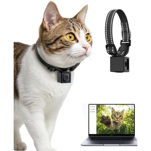 Dog Collar Camera 1080P HD Video Recording – Pet POV Cam for Medium Dogs & Big Cats up to 44 lbs, No WiFi No App Action Camera with Night Vision (Micro-SD Card Required)