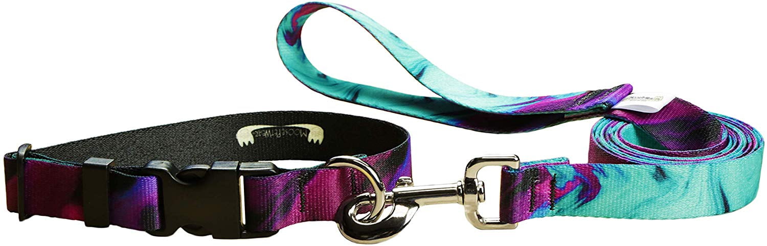 Dog Collar Leash Set - Matching Dog Collar and Lead, Made in The USA - 1  Inch Wide Adjusts to 13-21 Inches, Large, Wicked Purple 
