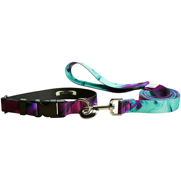 Dog Collar Leash Set - Matching Dog Collar and Lead, Made in The USA - 1  Inch Wide Adjusts to 13-21 Inches, Large, Wicked Purple 