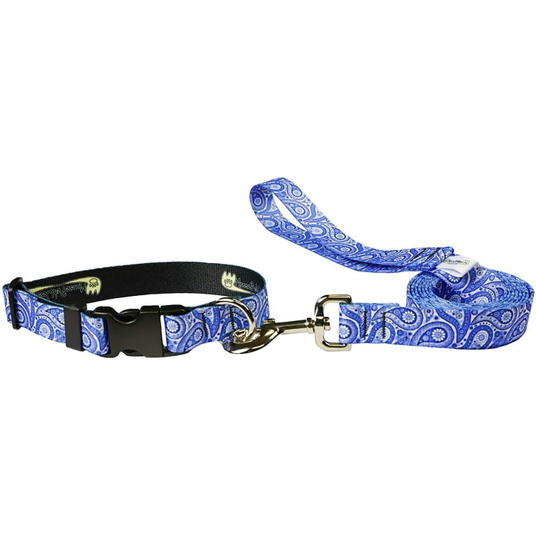 Matching collar and leash hot sale