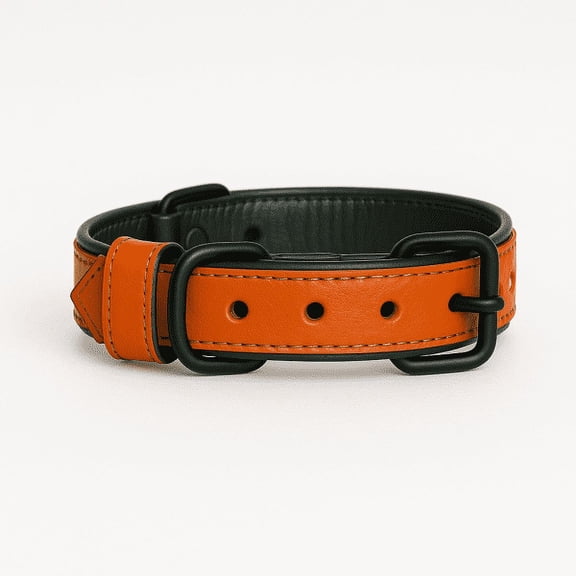 Dog Collar, Orange Dog Collar with Black Inner Liner - S/M