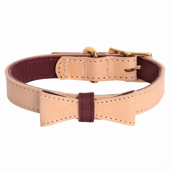 Dog Collar (Pack of 1)