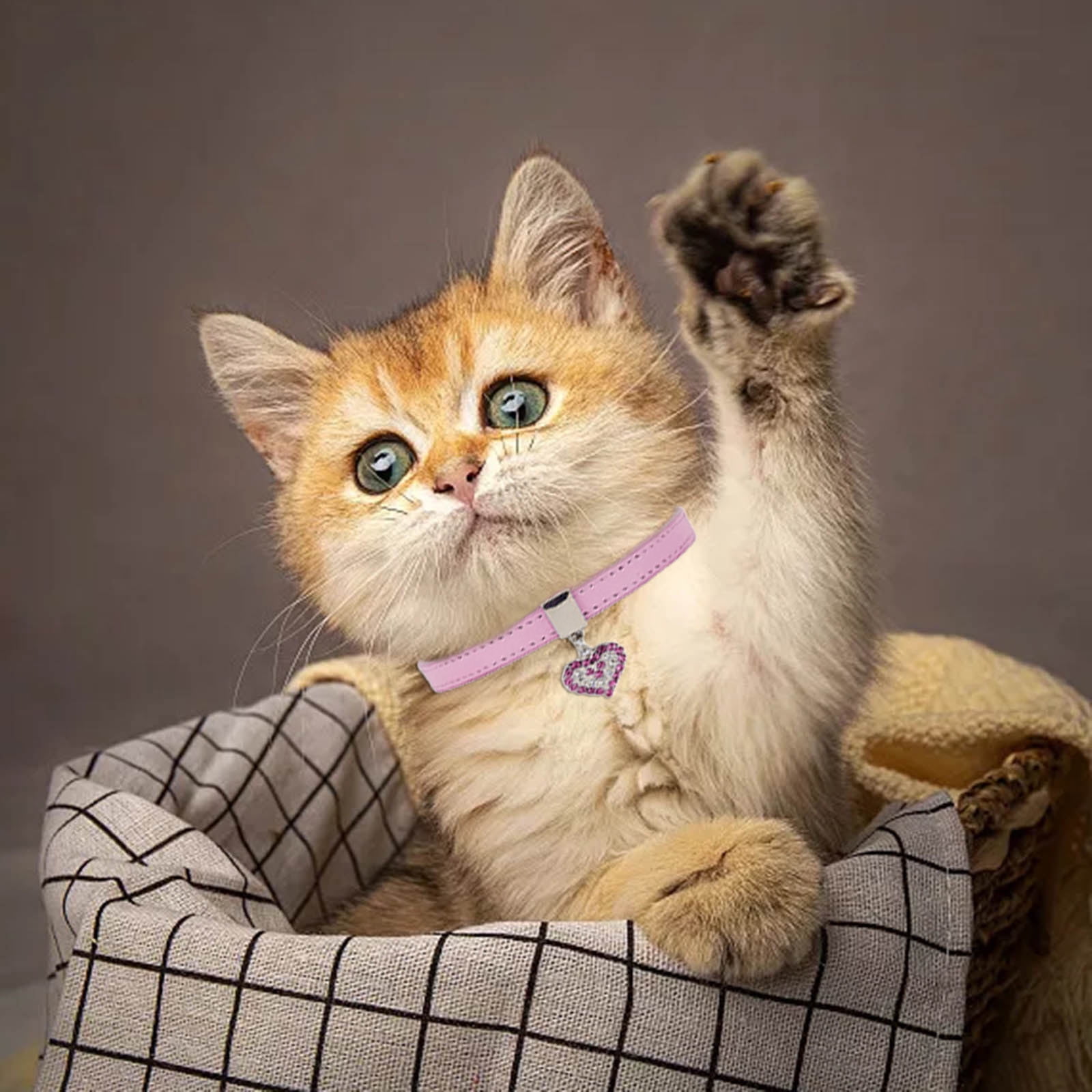 Dog Collar Pet Buckle Dog Chain Cute Pet Peach Heart Dog Collar Rope