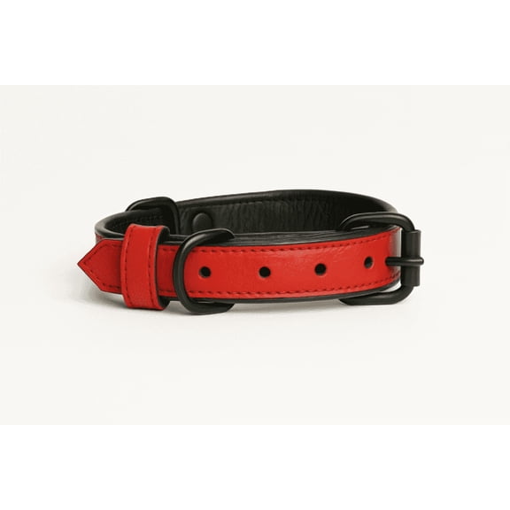 Dog Collar, Red Dog Collar with Black Inner Liner - S/M