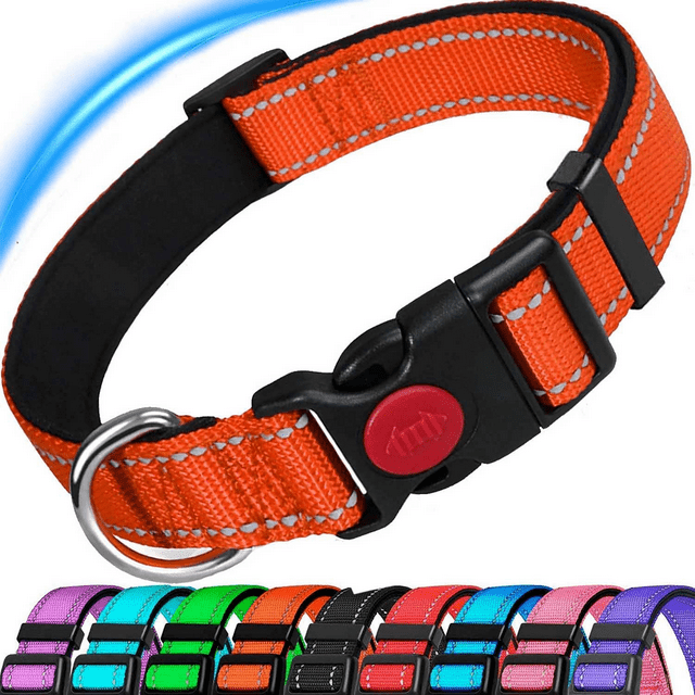 Dog Collar, Reflective Adjustable Basic Dog Collar with Soft Neoprene