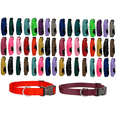 thumbnail image 1 of Dog Collar Shelter Rescue Vet Bulk Pack 50 Assorted Color Adjustable Choose Size (Medium - 14 to 20 Inch), 1 of 1
