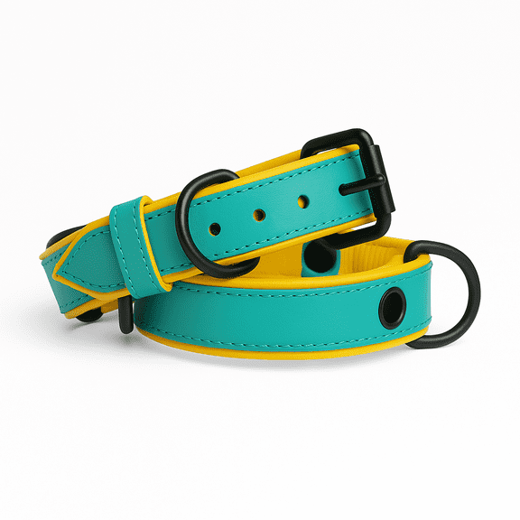 Dog Collar, Teal Dog Collar with Yellow Inner Liner - 2XL/3XL