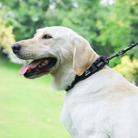 Dog Collar With Leash, No Pull Heavy Duty Reflective Pet Collar, Anti-Bite Adjustable Large Breed Dog Collar For Outdoor Walking Training, Black S