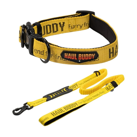 Dog Collar and Leash Set Adjustable Quick Release Collar with Dog Leashes w/Two Soft Padded Handles and Car Seat Belt Buckle for Medium Dogs